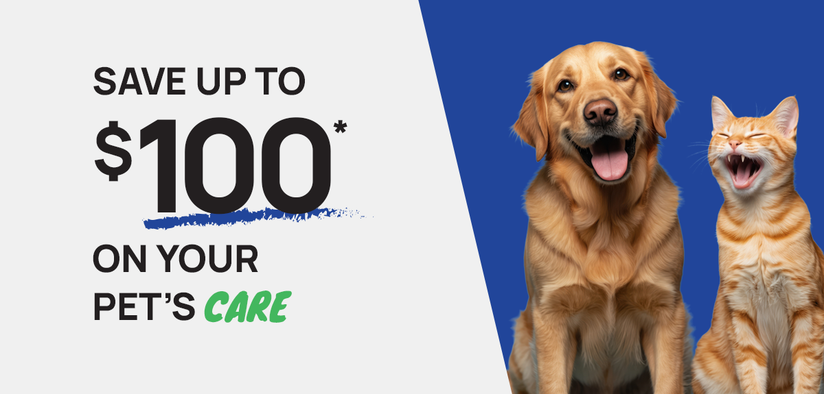 Dental Promotion - Save up to $100 on your pet's care