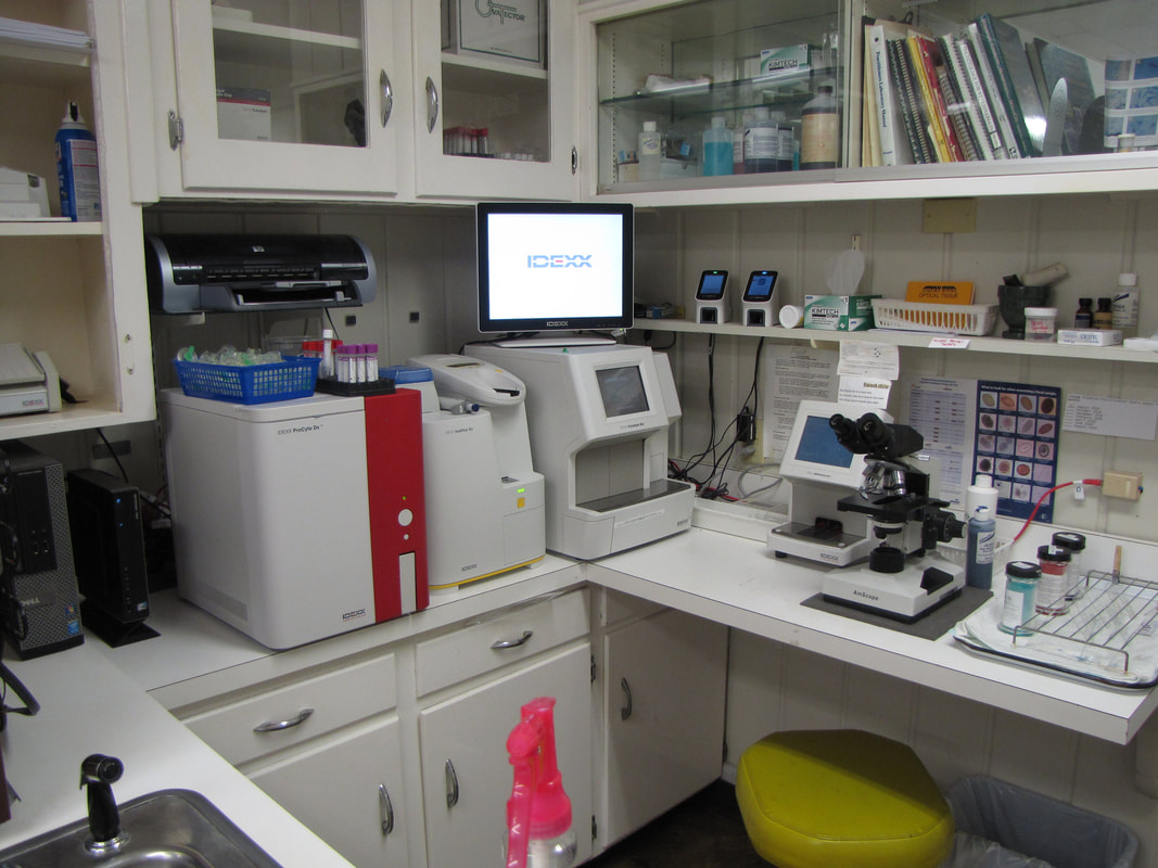 Lab Area